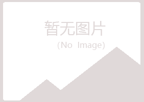 子洲县山柳机械有限公司